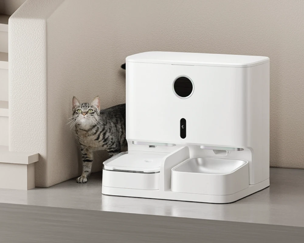 automatic water feeder dogs